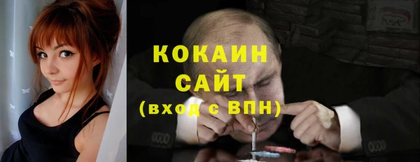 сатива Бронницы