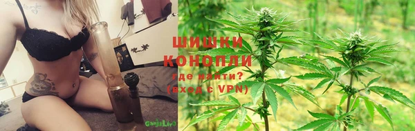 сатива Бронницы