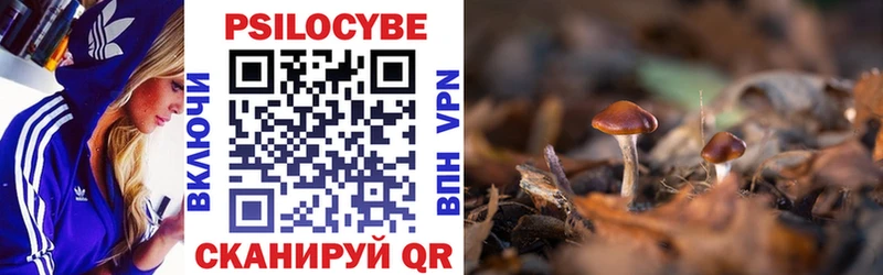 Галлюциногенные грибы мухоморы  Новоржев 